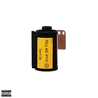 Tell Me Why? (Remix) - Single