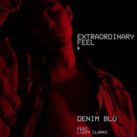 Extraordinary Feel (feat. Lizzy Clarke) - Single - Denim Blù