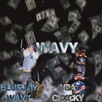 WAVY (feat. VSA Chxcky 333) - Single - Bluejaywavy
