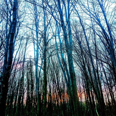 Feelings of Deception - Single