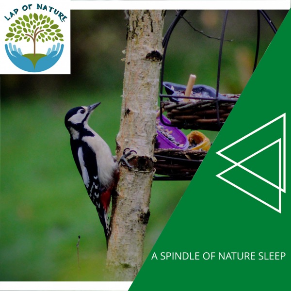 A Spindle of Nature Sleep