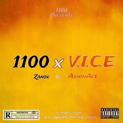 1100 x V.I.C.E