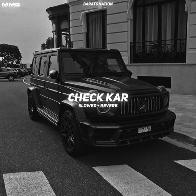 BARATO NATION - Check Kar (Slowed + Reverb)