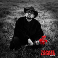 Tapate la Boca - Single - Mr.Molliere