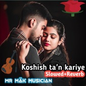 Koshish ta'n kariye s+v Panjabi title song artwork