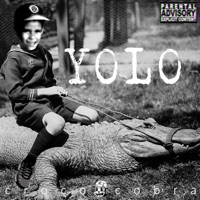 YOLO - Single - NAB FAKE