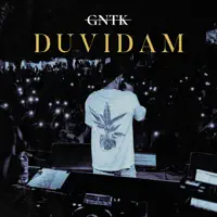 DUVIDAM