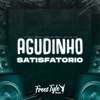 Agudinho Satisfatório (feat. MC Denny & MC VUK VUK) - Single