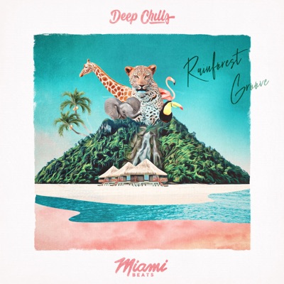 Rainforest Groove - Single