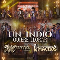 Un Indio Quiere Llorar - Single - Montez De Durango & Banda Machos