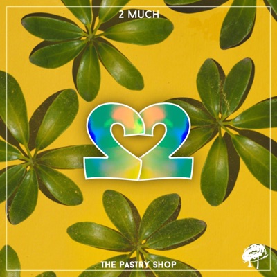 2 Much - Single