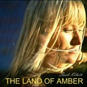 The Land Of Amber artwork