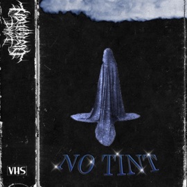 No Tint Lord Distortion & Netuh