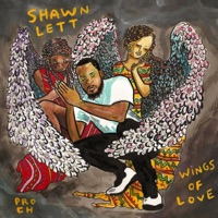 Wings Of Love - Shawn Lett