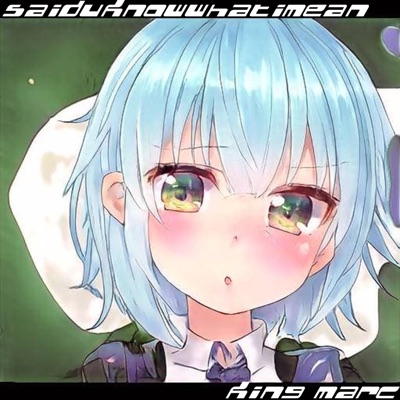 Saiduknowwhatimean!! - Single