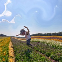 Verse (feat. Solocash) - Single - Noey