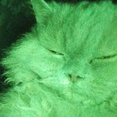 NABÓJ (feat. oskvr, YJD & Laasiu) - Single