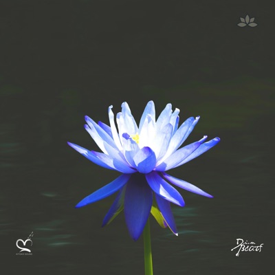 Caju (feat. Jazzy Rhodes & Kitoko Piano) - Single