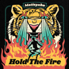 Hold the Fire - EP - Matisyahu