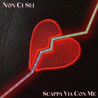 N.C.S./S.V.C.M. - Single - Fanic & Nice