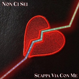 Scappa Via Con Me Fanic & Nice