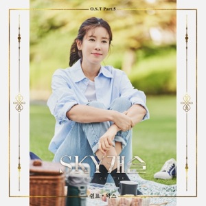 SKY Castle, Pt. 5 (Original Television Soundtrack) - Single
