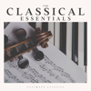 Piano Moonlight Sonata - Moonlight Sonata