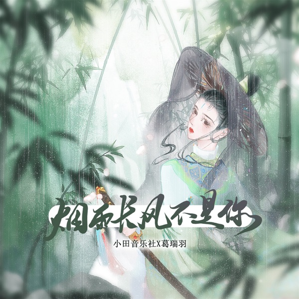 烟雨长风不是你 - Single