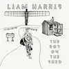 Liam Harris - Big Cities