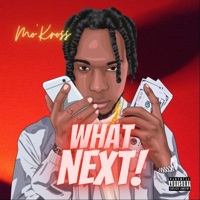 What Next (feat. Hitmakers4life) - Single - Mo'kross