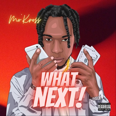 What Next (feat. Hitmakers4life) - Single