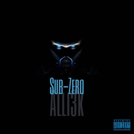 Hoodside (feat. Chief Kellz) Alli 3k