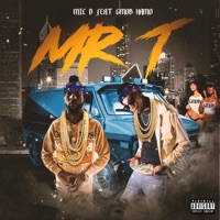 Mr. T (feat. Gmob Hamo) - Single - Mic.D Whoudini