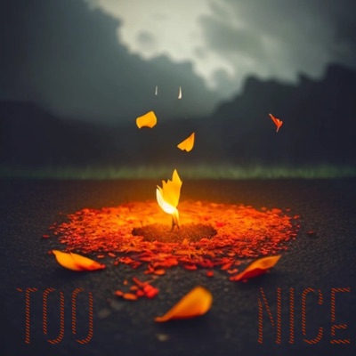 Too Nice - Single