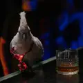 Disco Club