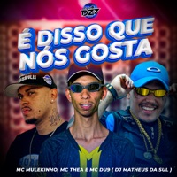 É DISSO QUE NÓS GOSTA (feat. CLUB DA DZ7 & MC THEA) - Single - MC MULEKINHO, DJ Matheus da Sul & MC DU9