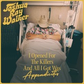 I Opened For The Killers And All I Got Was Appendicitis (Live) artwork