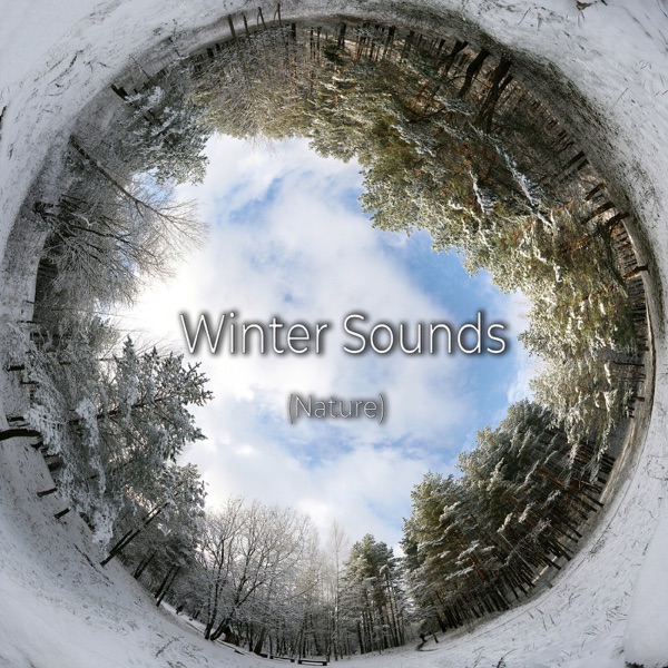 Winter Sounds (Nature)