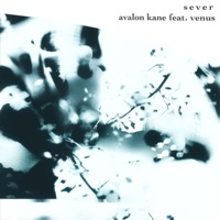 Sever (feat. Venus) - Single - Avalon Kane