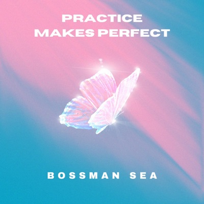 Practice Makes Perfect - Single
