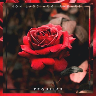 NON LASCIARMI ANDARE - Single