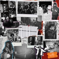 EU GOSTO DE GAROTAS - LARINHX