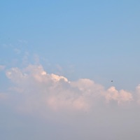 hold me down? - Single - july.