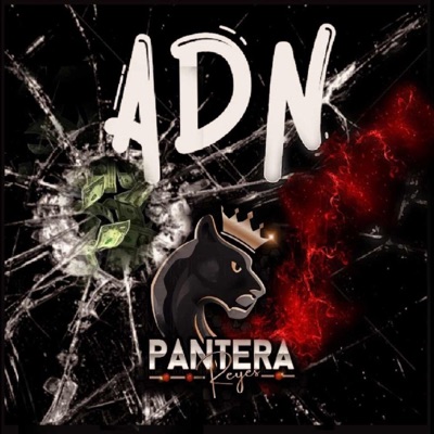 ADN - Single