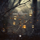 Sonic Serenity artwork
