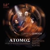 String Quartet in f minor, Op. 95, “Serioso”: III. Allegro assai vivace ma serioso artwork
