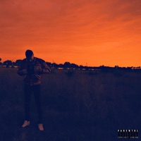 Indecisive. - Single - Joshua Ortiz