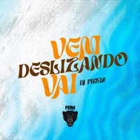 Vem Deslizando Vai Versão BH - Single - Dj Phzin