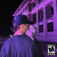 LSD (feat. Samy The Wizart & Team Colors) - Single - Lil Willy 666