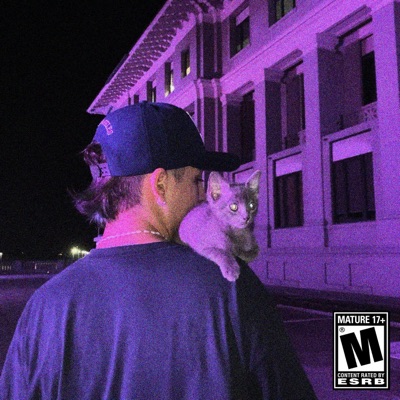 LSD (feat. Samy The Wizart & Team Colors) - Single